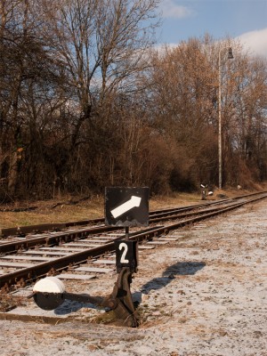 Zobrazi� cel� fotku