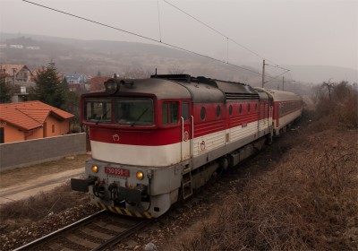 Zobrazi� cel� fotku