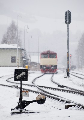 Zobrazi� cel� fotku