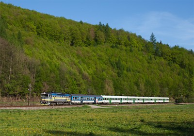 Zobrazi� cel� fotku