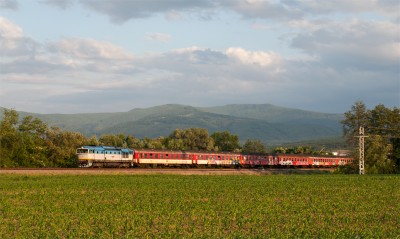 Zobrazi� cel� fotku