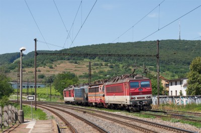 Zobrazi� cel� fotku