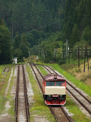 Zobrazi� cel� fotku