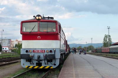 Zobrazi� cel� fotku