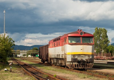 Zobrazi� cel� fotku