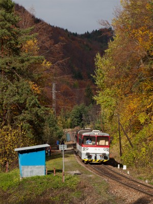 Zobrazi� cel� fotku