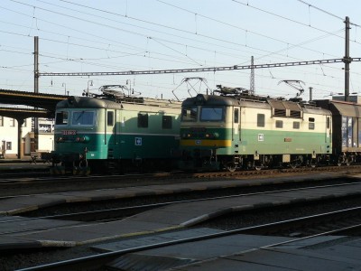 Zobrazi� cel� fotku