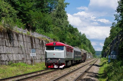 Zobrazi� cel� fotku