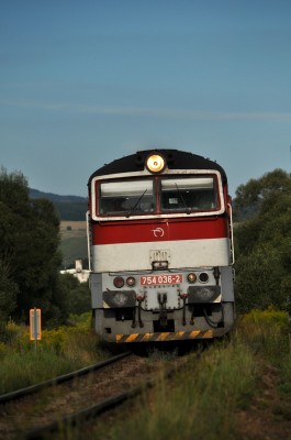 Zobrazi� cel� fotku