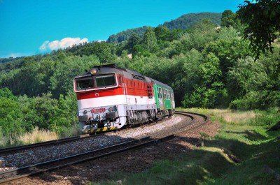 Zobrazi� cel� fotku