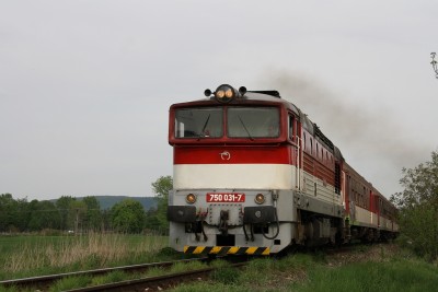 Zobrazi� cel� fotku