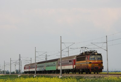 Zobrazi� cel� fotku