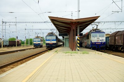 Zobrazi� cel� fotku