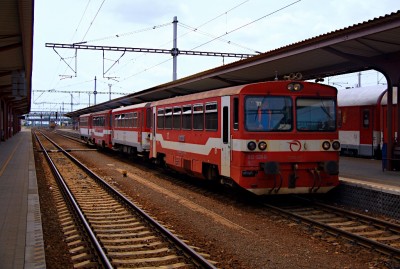 Zobrazi� cel� fotku