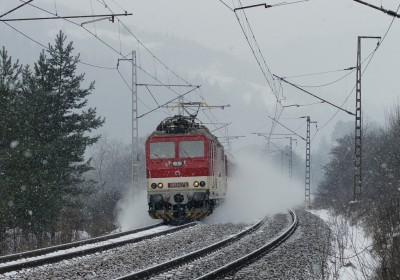 Zobrazi� cel� fotku