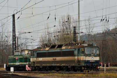 Zobrazi� cel� fotku