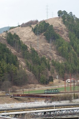 Zobrazi� cel� fotku