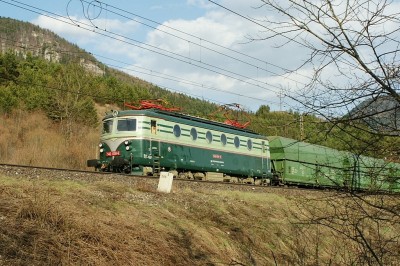 Zobrazi� cel� fotku