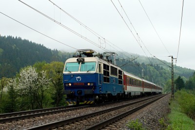 Zobrazi� cel� fotku