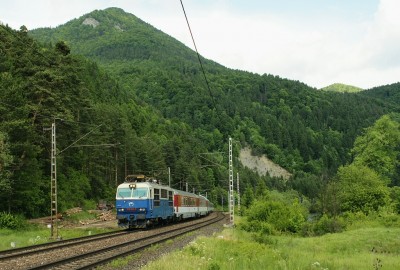 Zobrazi� cel� fotku