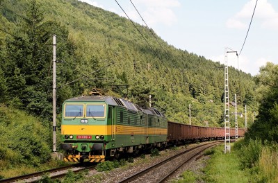 Zobrazi� cel� fotku