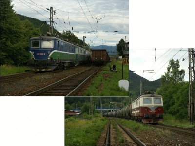 Zobrazi� cel� fotku