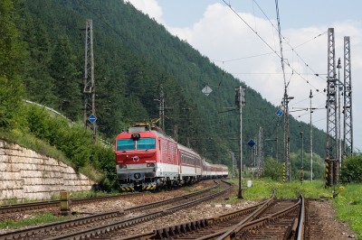 Zobrazi� cel� fotku