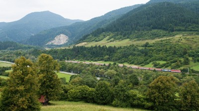 Zobrazi� cel� fotku