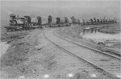 Zobrazi� cel� fotku