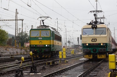 Zobrazi� cel� fotku