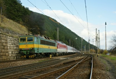 Zobrazi� cel� fotku