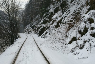 Zobrazi� cel� fotku
