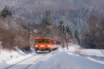 Zobrazi� cel� fotku