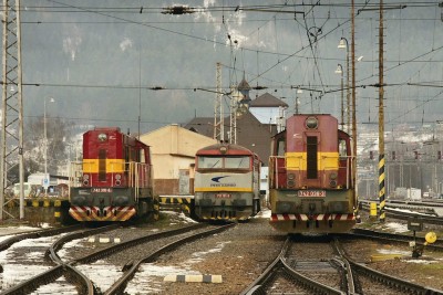 Zobrazi� cel� fotku