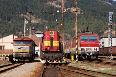 Zobrazi� cel� fotku