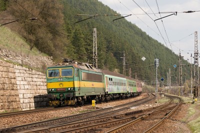 Zobrazi� cel� fotku