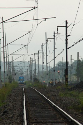 Zobrazi� cel� fotku