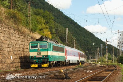 Zobrazi� cel� fotku
