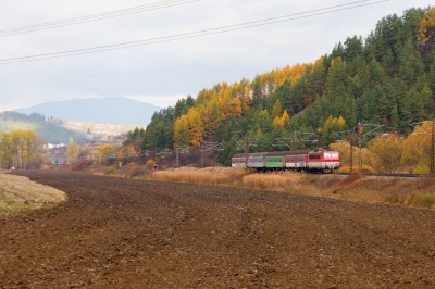 Zobrazi� cel� fotku