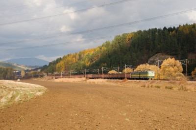 Zobrazi� cel� fotku