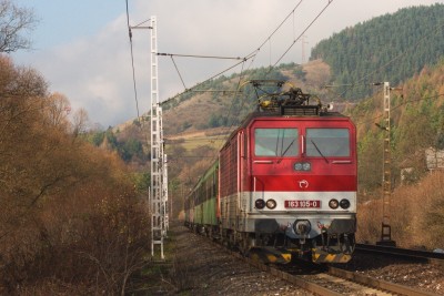 Zobrazi� cel� fotku