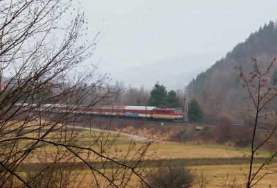 Zobrazi� cel� fotku