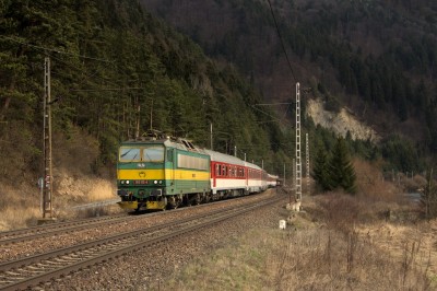 Zobrazi� cel� fotku