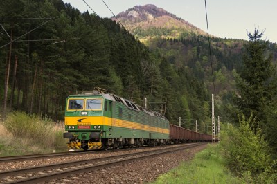 Zobrazi� cel� fotku