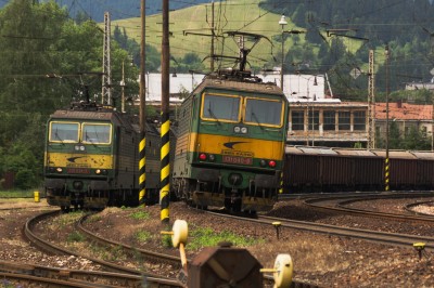 Zobrazi� cel� fotku