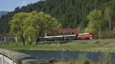 Zobrazi� cel� fotku