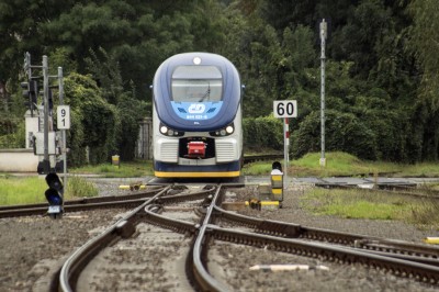 Zobrazi� cel� fotku