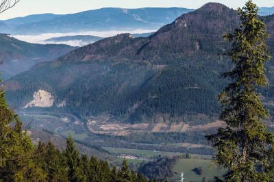 Zobrazi� cel� fotku