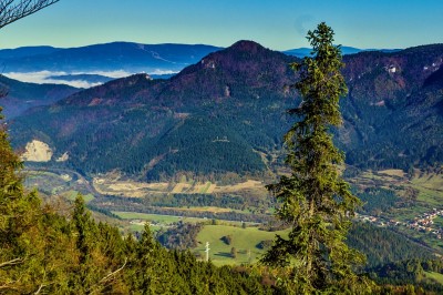 Zobrazi� cel� fotku