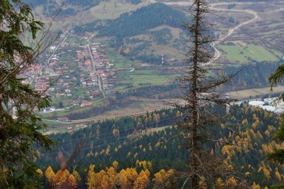 Zobrazi� cel� fotku